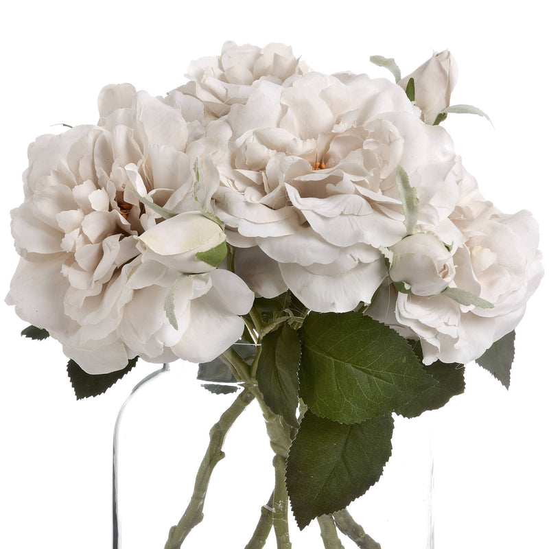 Single Stem Grey White Rose