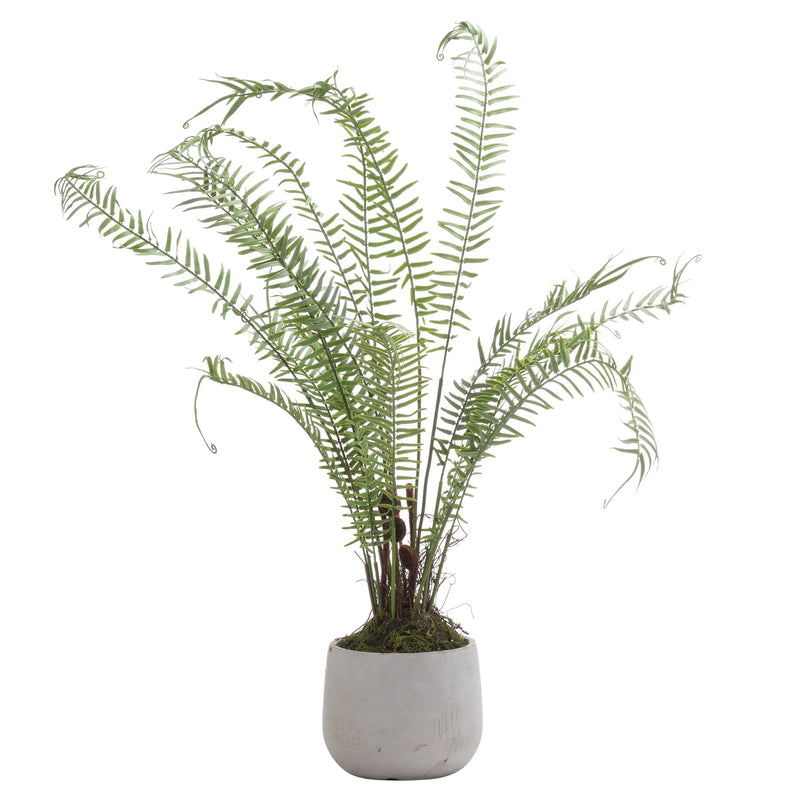 Faux Large Potted Fern