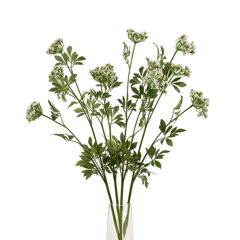 Faux White Cow Parsley