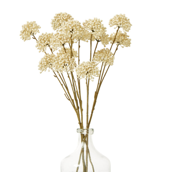 Cream Allium Single Stem Spray