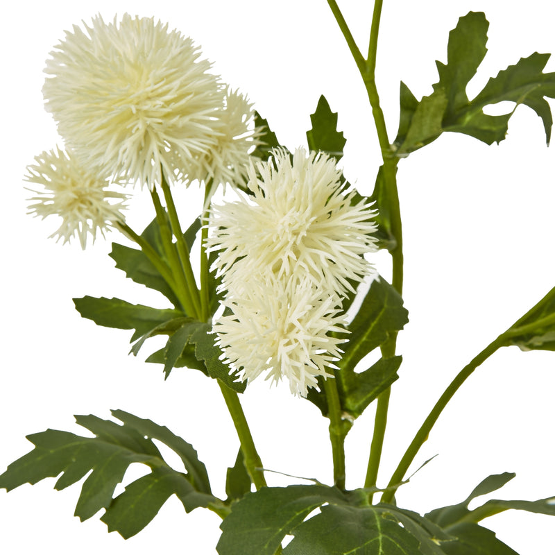 Cream Globe Thistle Single Stem Spray