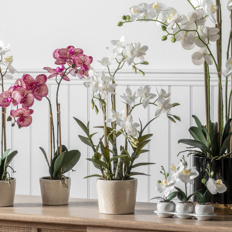 artificial white orchid plant in a cream ceramic plant pot