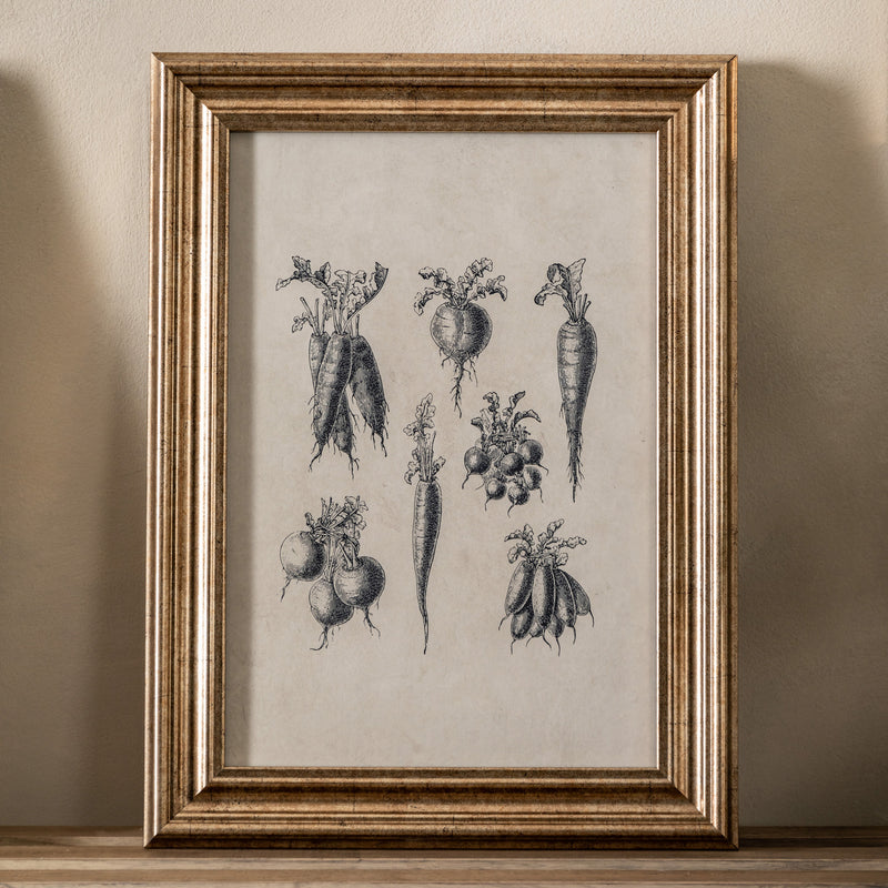 Ornate Garden Sketches Framed Art