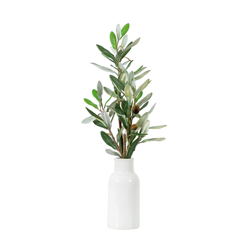 White Vase with Olive Stems